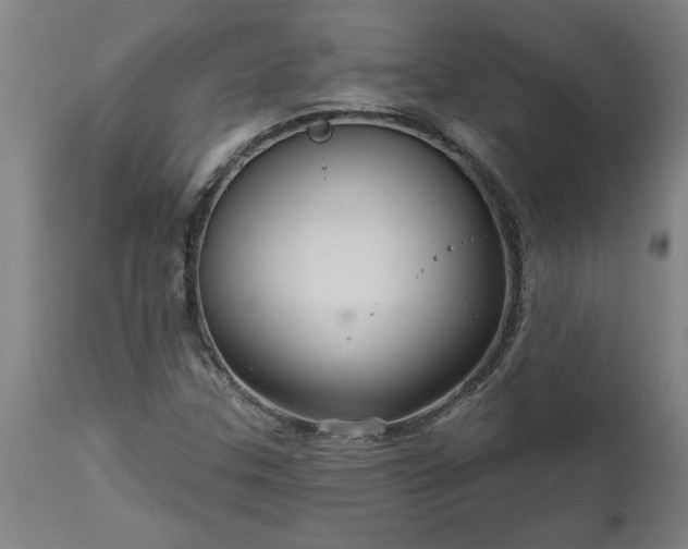 X0000111821307200907301247