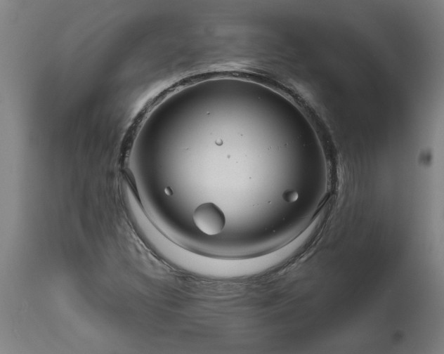 X0000111821308200907301247