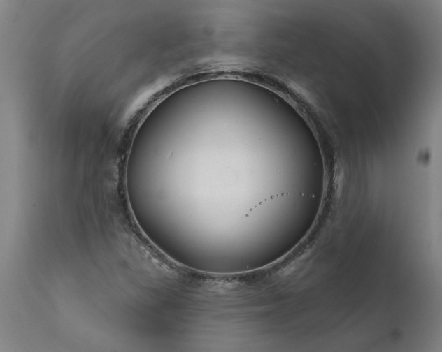 X0000111821309200907301247