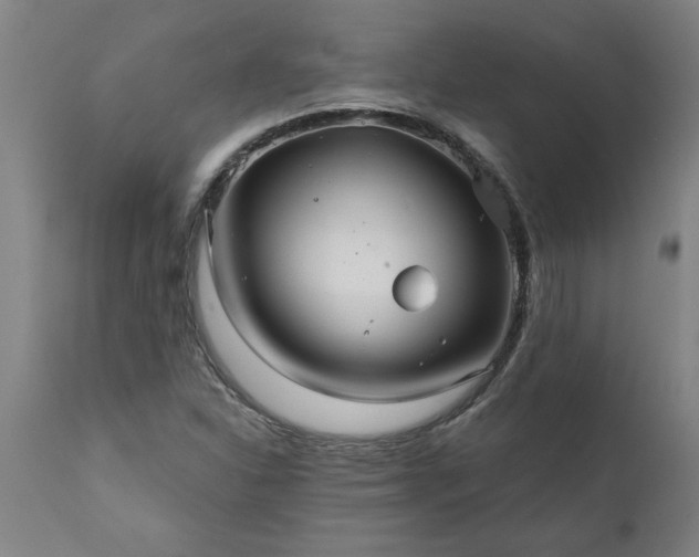 X0000111821310200907301247