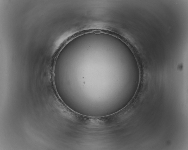 X0000111821312200907301247