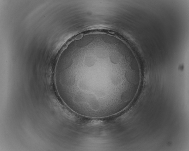 X0000111821313200907301247