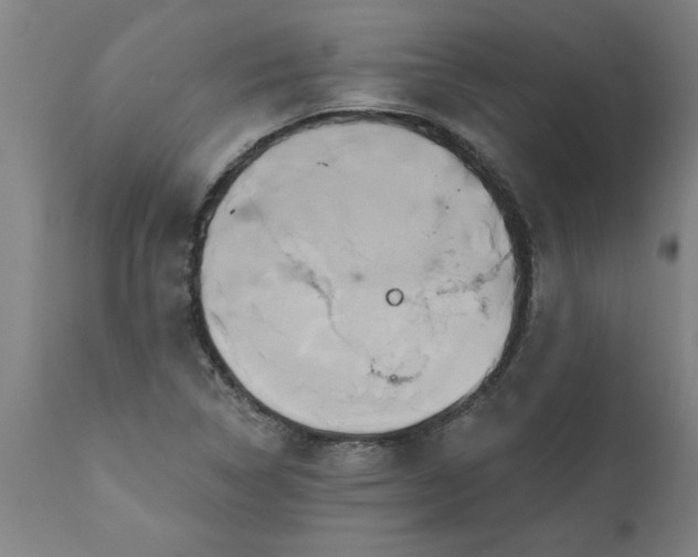 X0000111821314200907301247