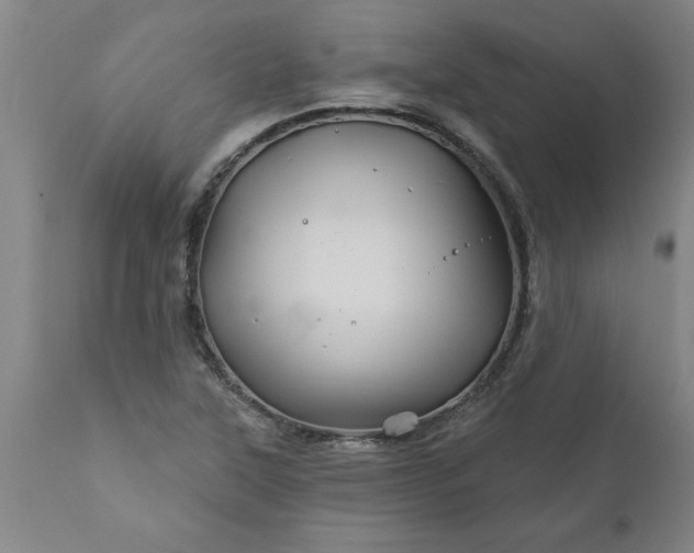 X0000111821315200907301247