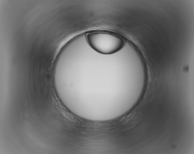 X0000111821316200907301247