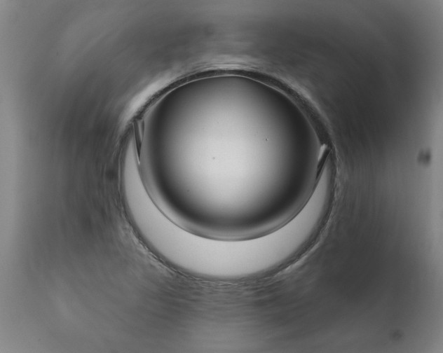 X0000111821317200907301247