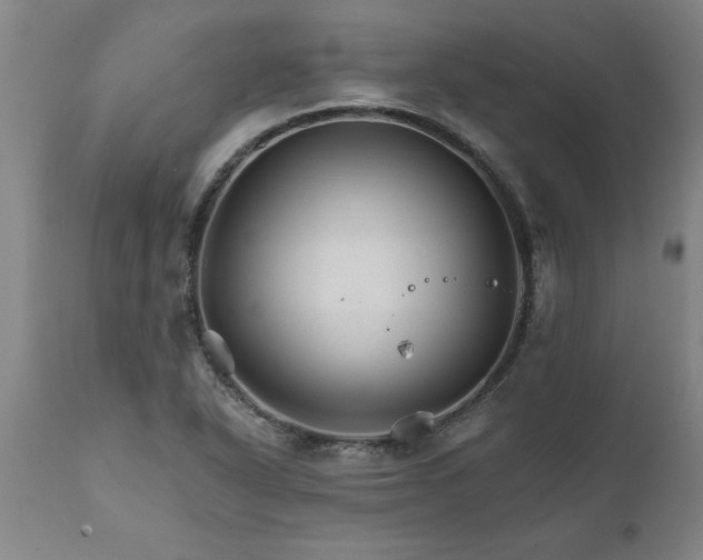 X0000111821318200907301247
