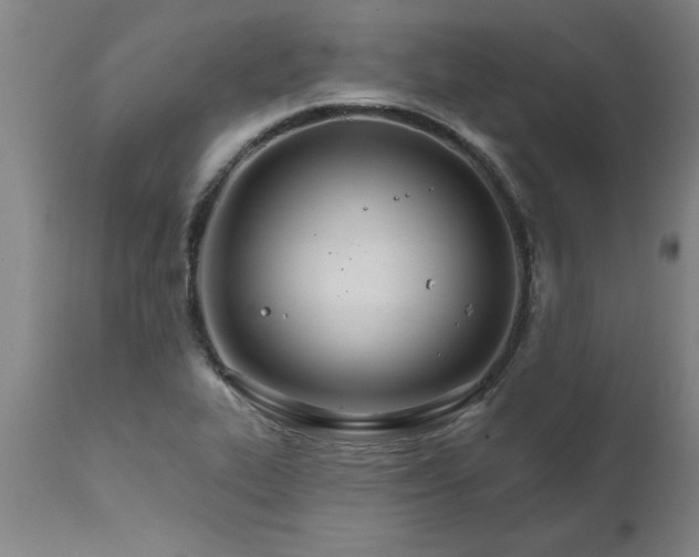 X0000111821319200907301247