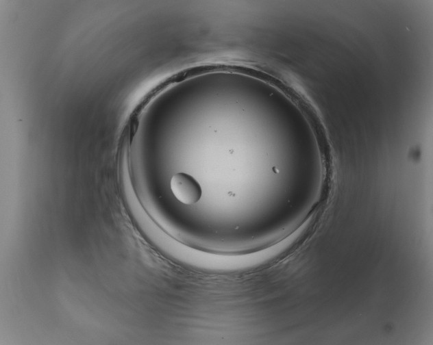 X0000111821320200907301247