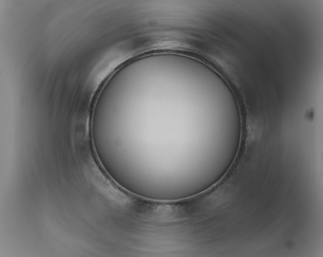 X0000111821322200907301247