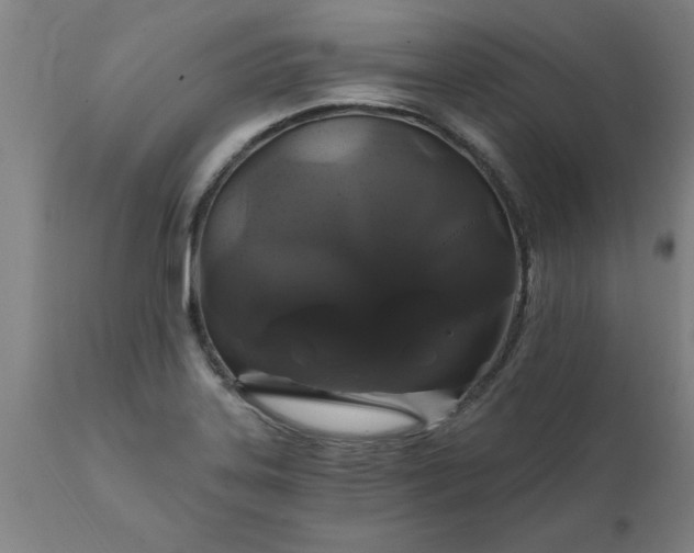 X0000111821323200907301247