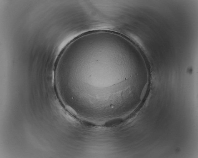 X0000111821324200907301247
