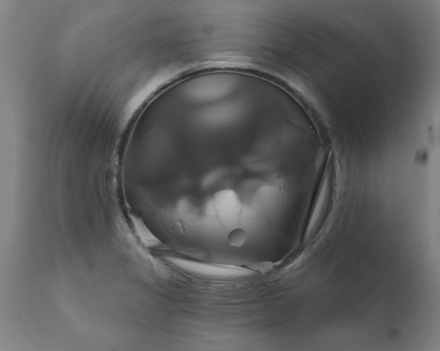 X0000111821325200907301247