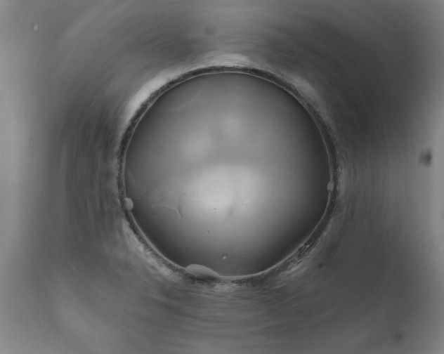 X0000111821326200907301247