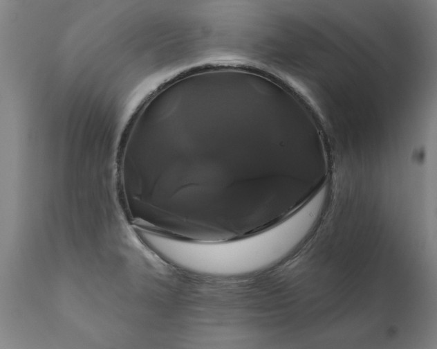 X0000111821327200907301247