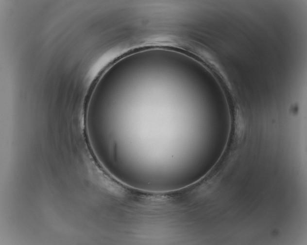 X0000111821328200907301247