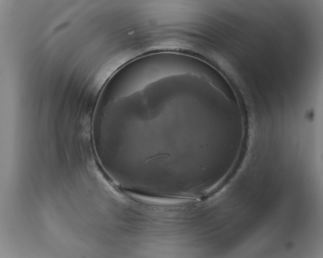 X0000111821329200907301247