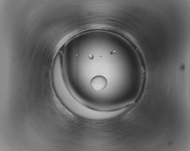 X0000111821330200907301247