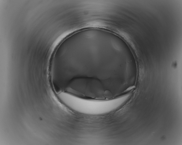 X0000111821331200907301247