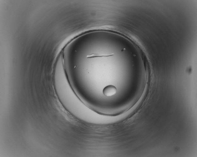 X0000111821332200907301247