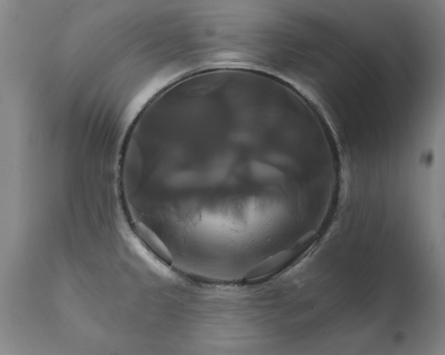 X0000111821333200907301247