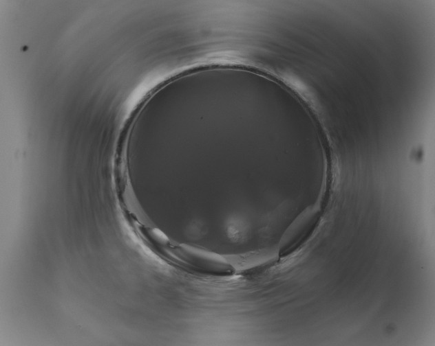 X0000111821334200907301247