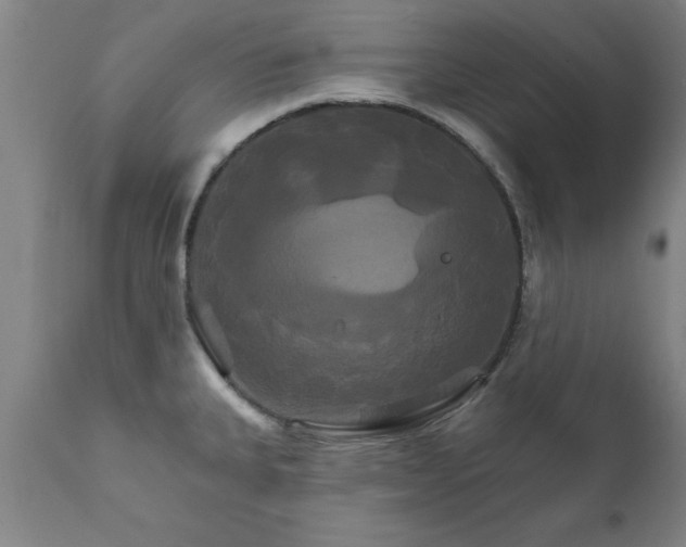 X0000111821335200907301247