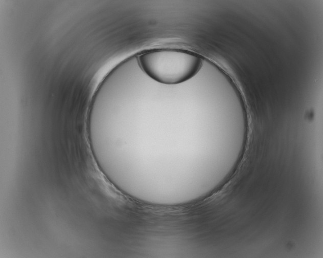 X0000111821336200907301247
