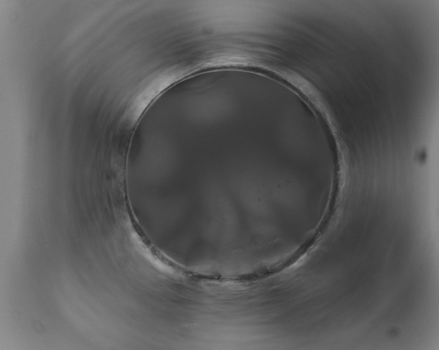X0000111821337200907301247