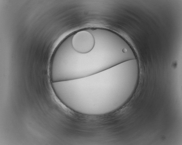X0000111821339200907301248