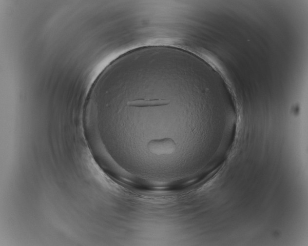 X0000111821340200907301248