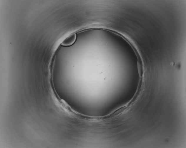 X0000111821341200907301248