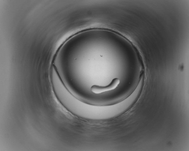 X0000111821342200907301248