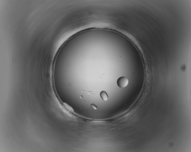 X0000111821343200907301248