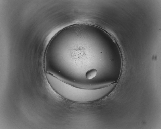 X0000111821344200907301248