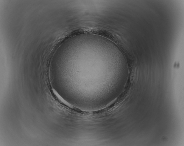 X0000111821345200907301247