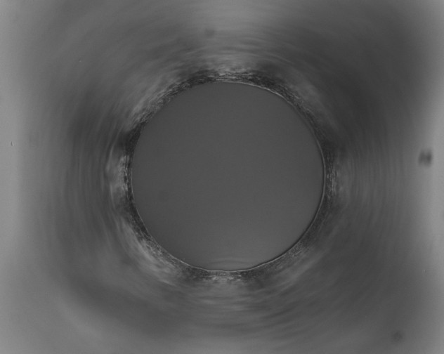 X0000111821346200907301247