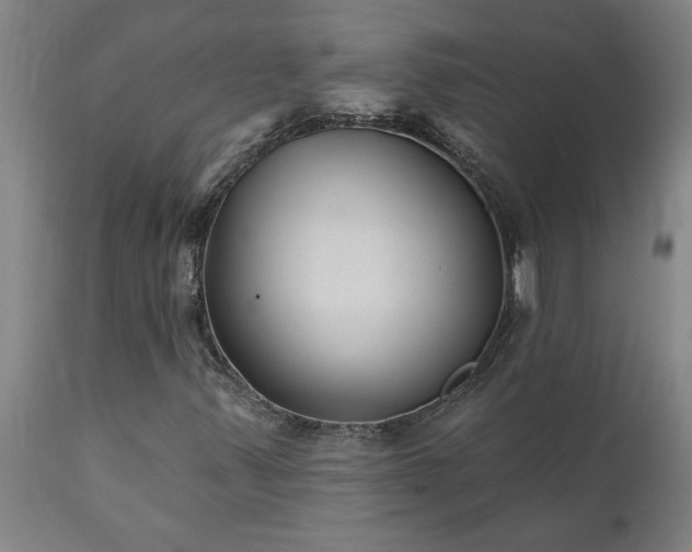 X0000111821347200907301247
