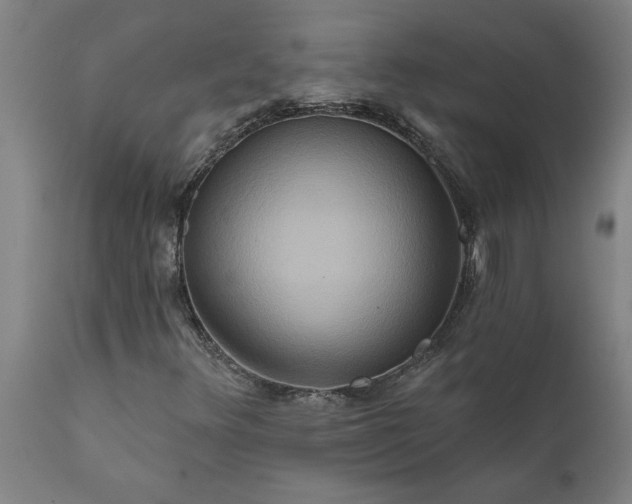 X0000111821348200907301247
