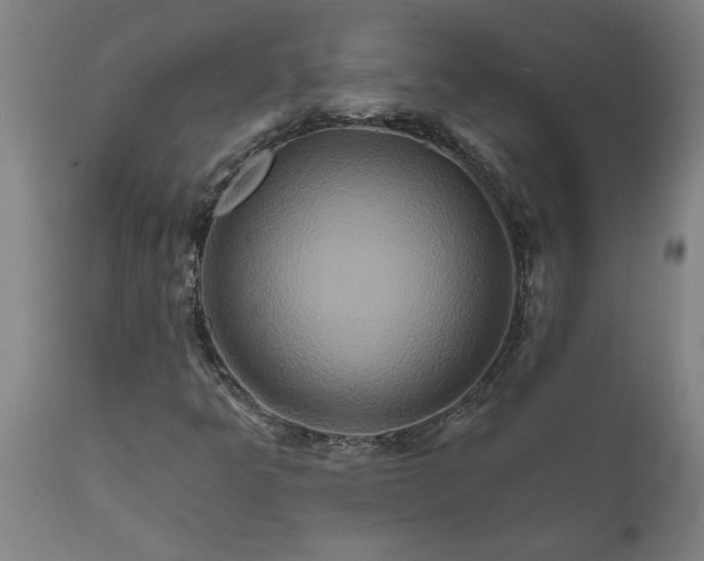 X0000111821349200907301247