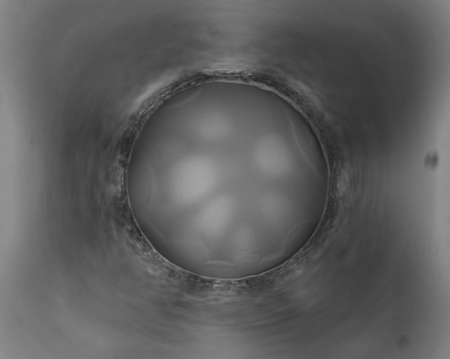 X0000111821350200907301247