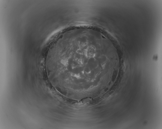 X0000111821351200907301247