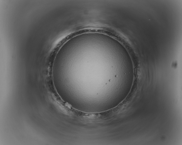 X0000111821352200907301247
