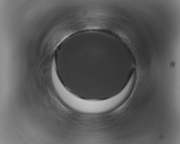 X0000111821353200907301247