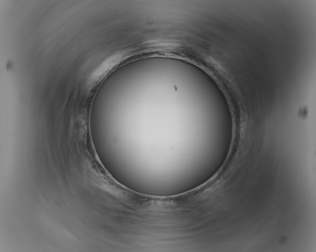 X0000111821354200907301247