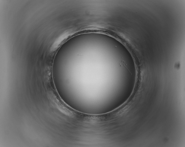 X0000111821355200907301247