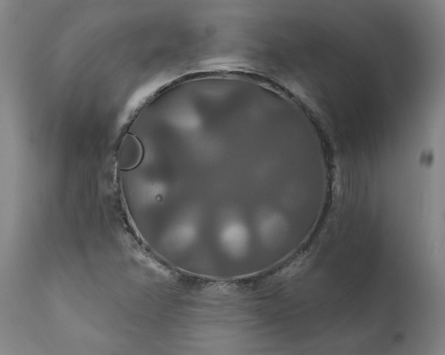 X0000111821358200907301247