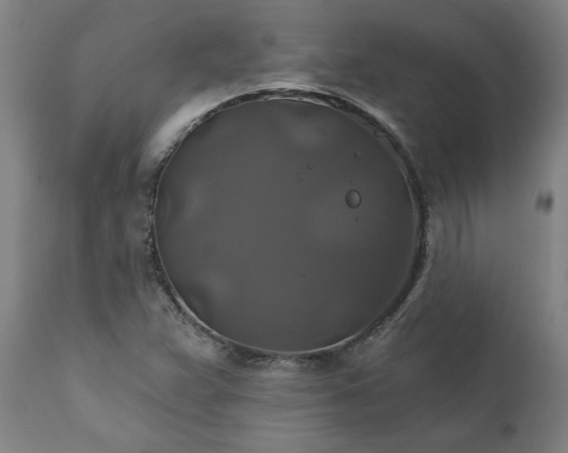 X0000111821359200907301247