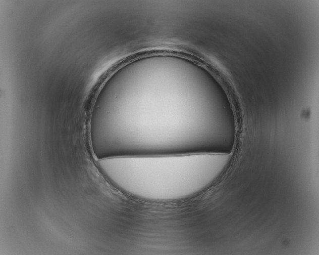 X0000111821360200907301247