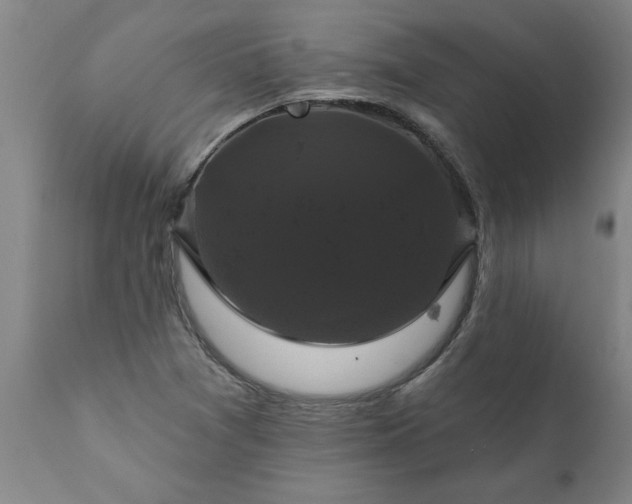 X0000111821361200907301247
